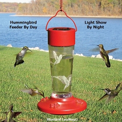 Solar-Powered Color Changing Hummingbird Feeder Red